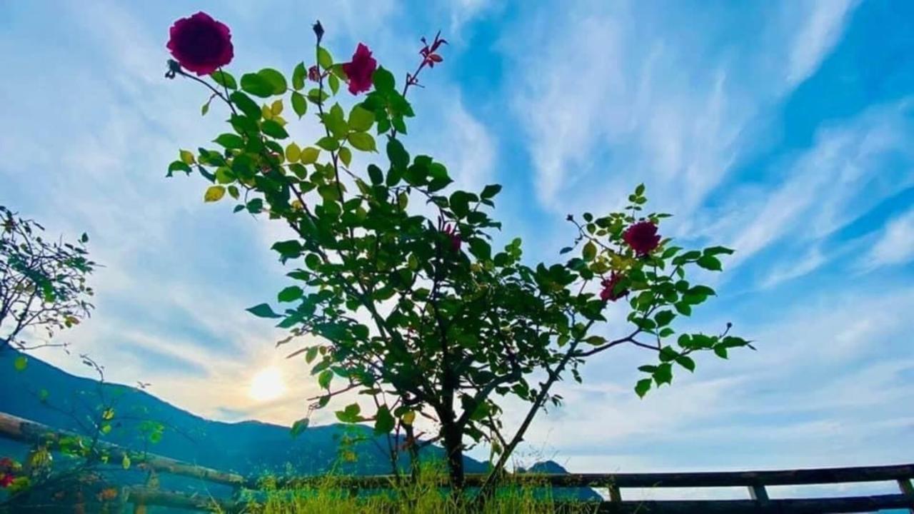 Ha Lu Homestay Lao Cai Exterior photo